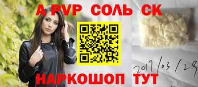 соль ск Камышлов