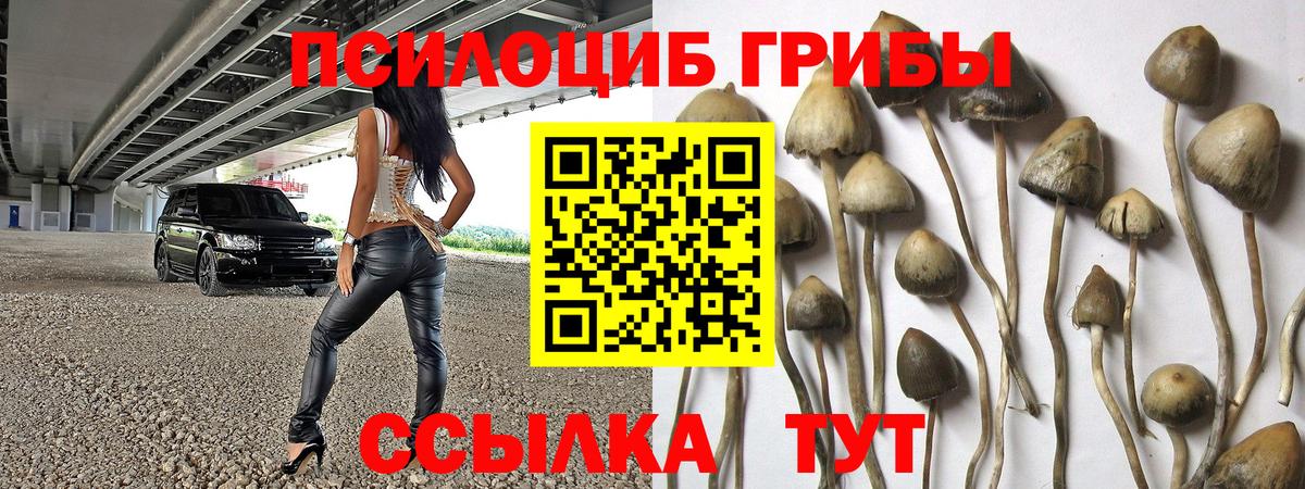 Галлюциногенные грибы мухоморы  Вход с VPN  Галлюциногенные грибы мицелий  Карачаевск 